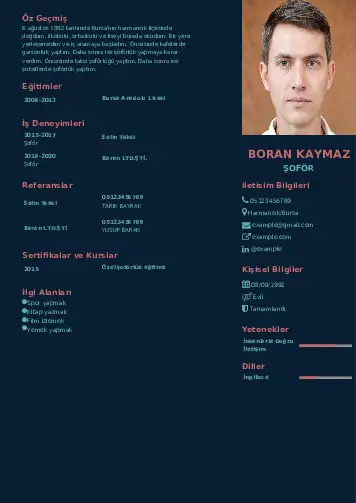 Şoför Cv Örnekleri cv indir